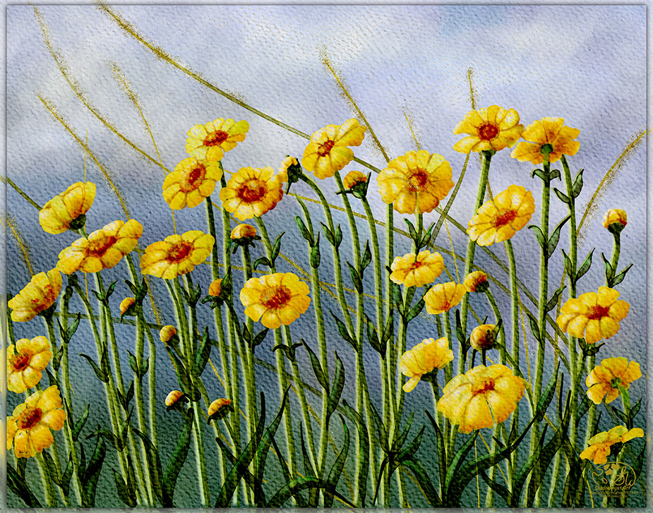 Home "Field of Coreopsis" a digital botanical artwork.