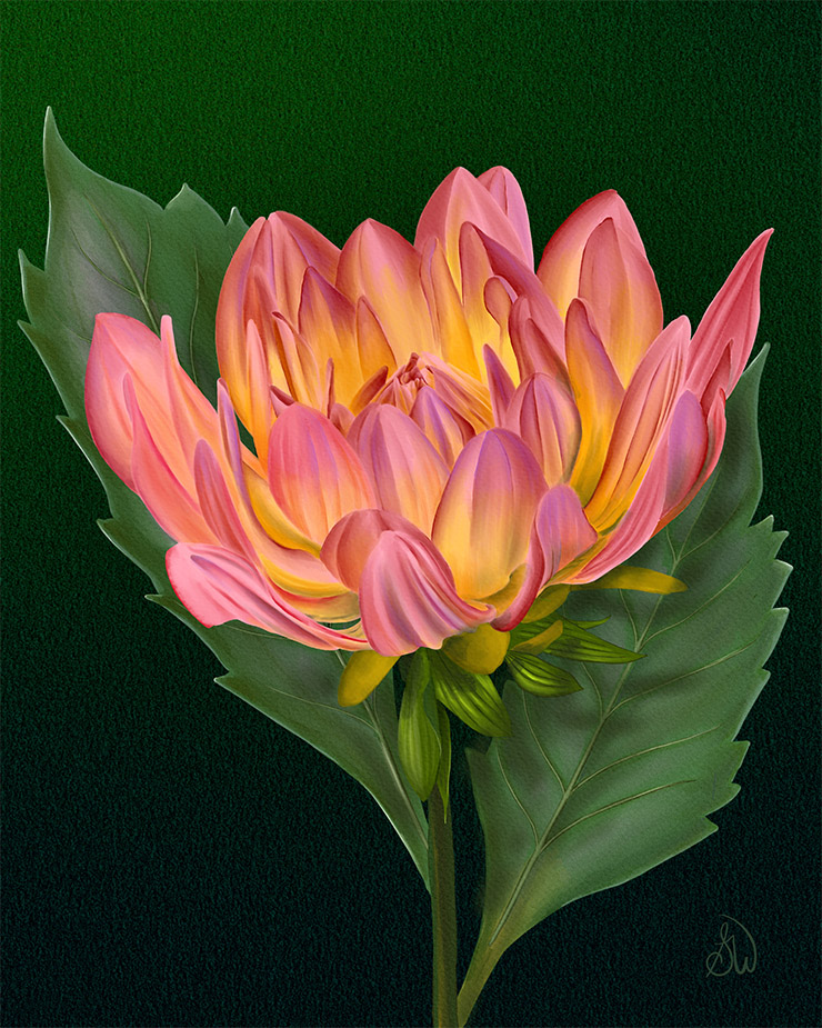 Home "Summer Garden Dahlia" digital botanical artwork.