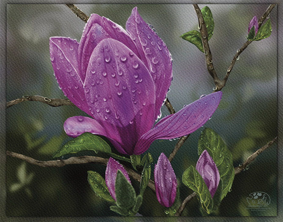Home "Spring Magnolias" a digital botanical painting.
