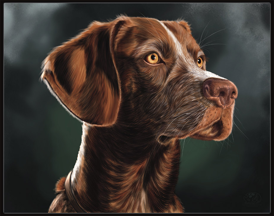 Home Digital pet portrait of a German Wirehaired Pointer.