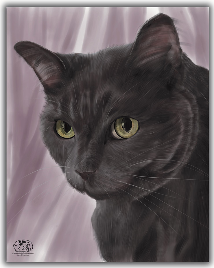 Home Digital pet portrait, "Lady Faith Greyfur".